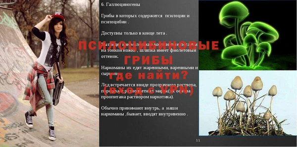 дурь Зеленокумск