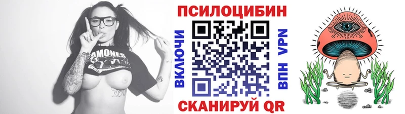 Галлюциногенные грибы Cubensis  Купить  Верхняя Тура 